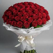 Букет 101 Красная роза Блэк Мэджик в Певеке