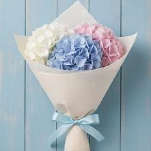 Букет цветов из:  Гортензия в Певеке