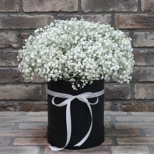 Цветочная композиция из Гипсофила в шляпной коробке в Певеке