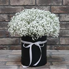 Цветочная композиция из Гипсофила в шляпной коробке в Певеке