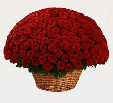 Премиум букет из: Розы в Певеке